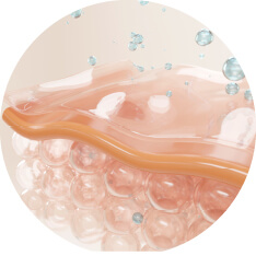 Illustrations Illustrations